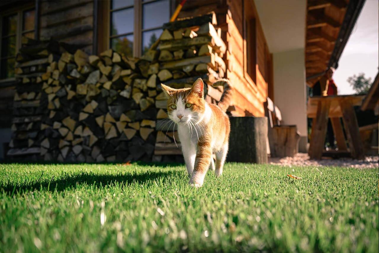 Alpine Homestead Goreljek Dış mekan fotoğraf